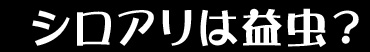 シロアリは益虫?
