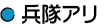 兵隊アリ