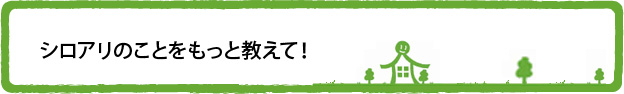 シロアリのことをもっと教えて!