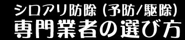 シロアリ防除（予防/駆除）専門業者の選び方
