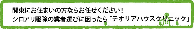 関東にお住まいの方ならお任せください！シロアリ駆除の業者選びに困ったら「関東白蟻防除」