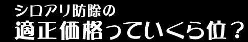 シロアリ防除の適正価格っていくら位？