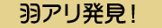 羽アリ発見！