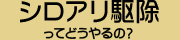 シロアリ駆除ってどうやるの？
