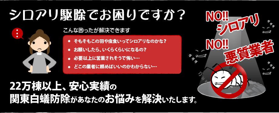 シロアリ駆除でお困りですか?