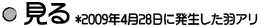 見る*2009年4月28日に発生した羽アリ