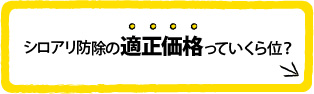 シロアリ防除の適正価格っていくら位？