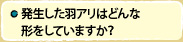 発生した羽アリはどんな形をしていますか？