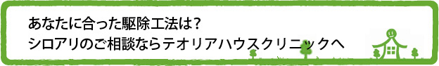 あなたに合った駆除工法は?シロアリのご相談なら「関東白蟻防除」へ