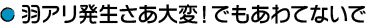 羽アリ発生さあ大変！でもあわてないで