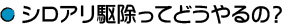 シロアリ駆除ってどうやるの？