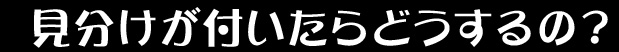 見分けが付いたらどうするの?
