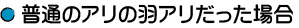 普通のアリの羽アリだった場合 