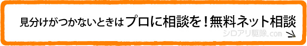 見分けがつかないときはプロに相談を!無料ネット相談