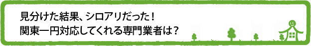 見分けた結果、シロアリだった!関東一円対応してくれる専門業者は?