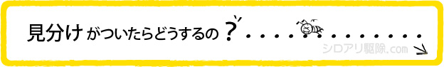 見分けがついたらどうするの?