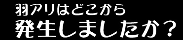 羽アリはいつ頃発生しましたか?